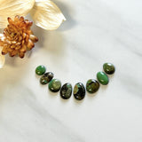 Small Deep Green Mixed Treasure Mountain Turquoise, Set of 8 Background