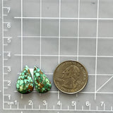 Medium Sea Green Teardrop Namtso Lake Turquoise, Set of 2 Dimensions