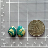Small Deep Green Freeform Fox Turquoise, Set of 2 Dimensions