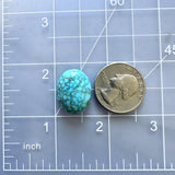 Large Sky Blue Oval Lone Mountain Turquoise Dimensions