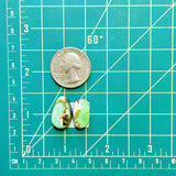 Medium Sea Green Freeform Carico Lake Turquoise, Set of 2 Dimensions