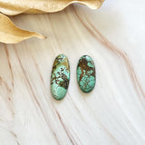 Large Sea Green Oval Treasure Mountain Turquoise, Set of 2 Background