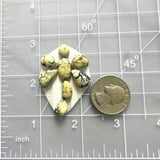 Small Light Yellow Mixed Crescent Lake Variscite, Set of 8 Dimensions