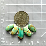 Small Sea Green Oval Royston Turquoise, Set of 5 Dimensions