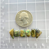 Small Earth Brown Mixed Crescent Lake Variscite, Set of 6 Dimensions