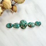 Small Sea Green Mixed Fox Turquoise, Set of 5 Background