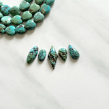 Small Sky Blue Mixed Wild Horse Turquoise, Set of 5 Background