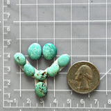 Small Faint Green Mixed Kingman Turquoise, Set of 8 Dimensions