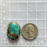 Large Ocean Blue Freeform Royston Turquoise Dimensions