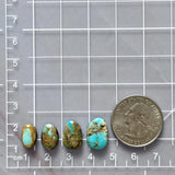 Small Sky Blue Mixed Number 8 Turquoise, Set of 4 Dimensions