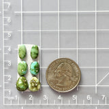 Small Lime Green Mixed Sonoran Gold Turquoise, Set of 6 Dimensions