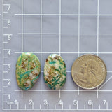 Large Sea Green Mixed Fox Turquoise, Set of 2 Dimensions