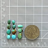 Small Sky Blue Mixed Tyrone Turquoise, Set of 11 Dimensions