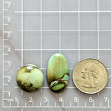 Medium Sea Green Mixed Crescent Lake Variscite, Set of 2 Dimensions