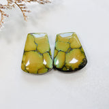 Large Earth Brown Petal Treasure Mountain Turquoise, Set of 2 Background