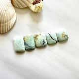 Small Faint Green Barrel Crescent Lake Variscite, Set of 5 Background