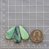 Large Mint Green Teardrop Crescent Lake Variscite, Set of 3 Dimensions