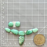Small Mint Green Freeform Lucid Variscite, Set of 8 Dimensions