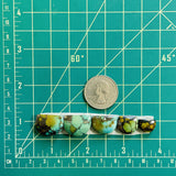 Medium Mixed Half Moon Treasure Mountain Turquoise, Set of 5 Dimensions