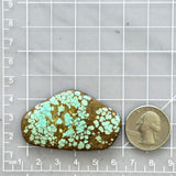 Large Faint Green Freeform Number 8 Turquoise Dimensions