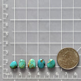 Small Sky Blue Freeform Mixed Turquoise, Set of 5 Dimensions