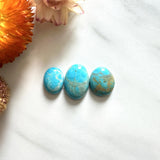 Small Sky Blue Freeform Royston Turquoise, Set of 3 Background