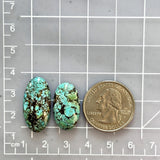 Large Sky Blue Oval Wild Horse Turquoise, Set of 2 Dimensions