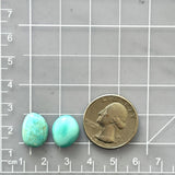 Small Sky Blue Freeform Royston Turquoise, Set of 2 Dimensions