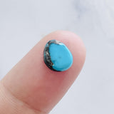 L10 x W8 x H3 Sky Blue Freeform Bisbee Turquoise Background