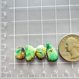 Small Sea Green Mixed Crescent Lake Variscite, Set of 4 Dimensions