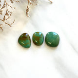 Small Deep Green Freeform Tyrone Turquoise, Set of 3 Background