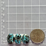 Medium Ocean Blue Oval Blue Moon Turquoise, Set of 3 Dimensions
