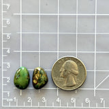 Small Mixed Freeform Lone Mountain Turquoise, Set of 2 Dimensions