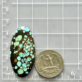 Large Sky Blue Surfboard Number 8 Turquoise Dimensions