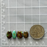 Small Sky Blue Mixed Tyrone Turquoise, Set of 4 Dimensions