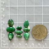 Small Deep Green Mixed Broken Arrow Variscite, Set of 9 Dimensions