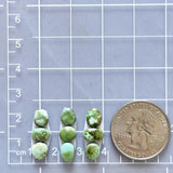Small Lime Green Mixed Sonoran Gold Turquoise, Set of 9 Dimensions
