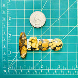 Medium Earth Brown Mixed Treasure Mountain Turquoise, Set of 4 Dimensions