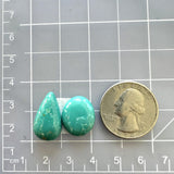 Medium Sky Blue Mixed Fox Turquoise, Set of 2 Dimensions
