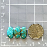 Medium Sky Blue Freeform Number 8 Turquoise, Set of 3 Dimensions