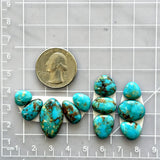 Small Sky Blue Mixed Number 8 Turquoise, Set of 11 Dimensions