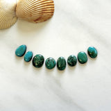 Small Ocean Blue Mixed Fox Turquoise, Set of 8 Background