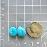 Medium Sky Blue Freeform Sleeping Beauty Turquoise, Set of 2 Dimensions