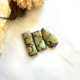 Medium Sea Green Mixed Treasure Mountain Turquoise, Set of 3 Background