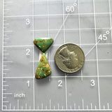 Small Bamboo Green Freeform Bamboo Mountain Turquoise, Set of 2 Dimensions