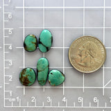 Small Mint Green Freeform Carico Lake Turquoise, Set of 5 Dimensions