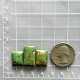 Medium Bamboo Green Bar Namtso Lake Turquoise, Set of 3 Dimensions