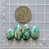 Medium Deep Green Mixed Fox Turquoise, Set of 4 Dimensions