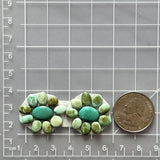 Small Lime Green Mixed Sonoran Gold Turquoise, Set of 20 Dimensions