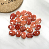 12x16mm Oval Spiny Oyster, Set of 1